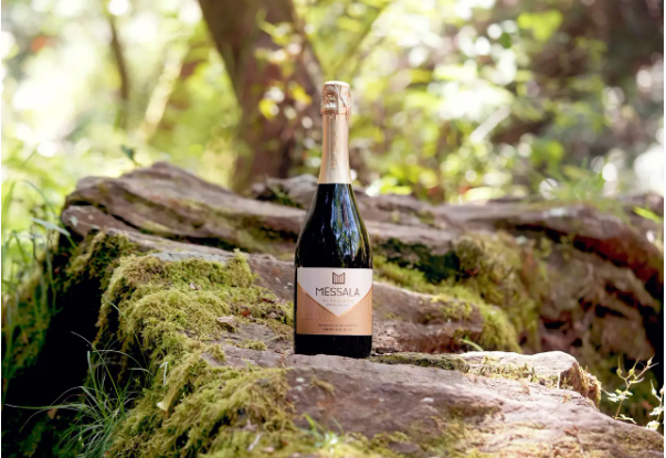 Discover the Portuguese sparkling wines that promise the best toast to enter 2025