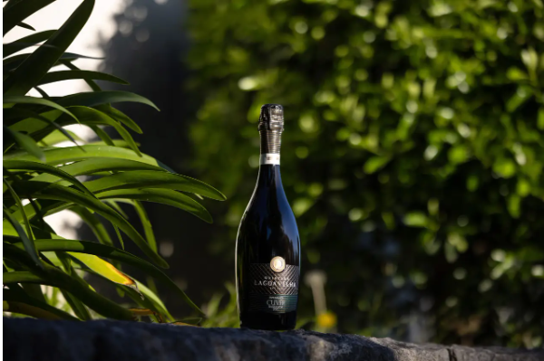 Discover the Portuguese sparkling wines that promise the best toast to enter 2025