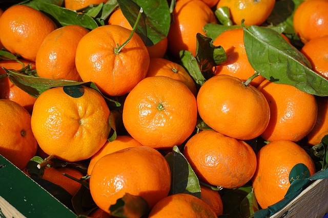 Tangerines: how much can you eat so as not to harm the body?