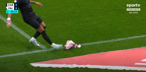 Yuri Alberto, from Corinthians, kicks a pig's head off the field