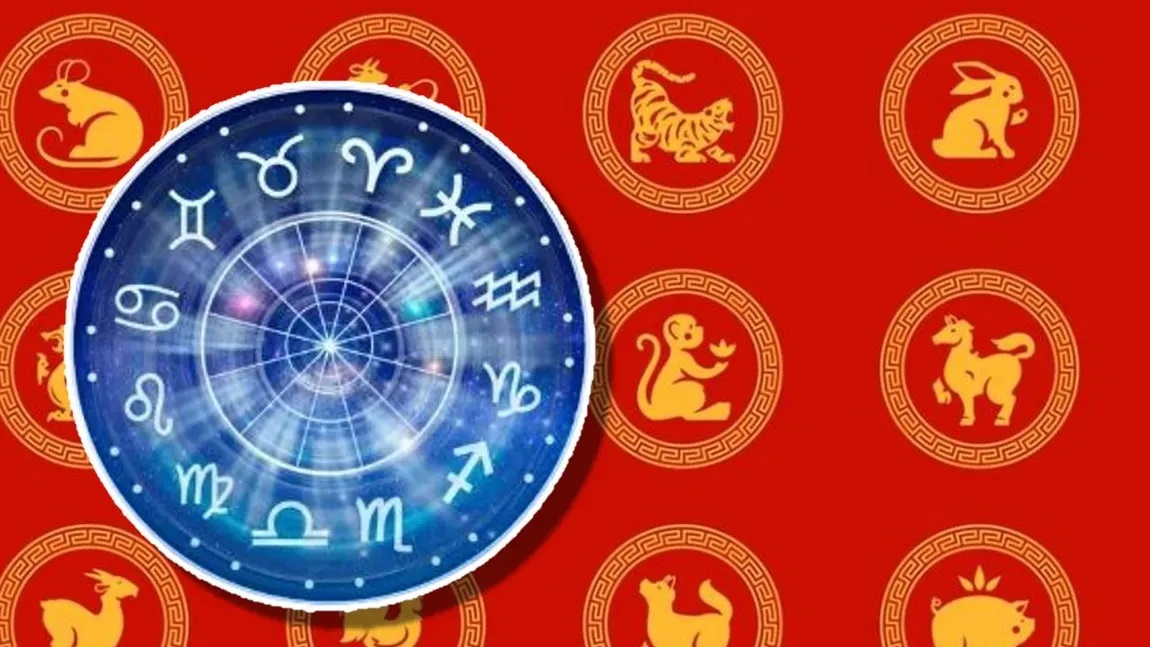 Chinese Zodiac FIRST day of Christmas. Messages of POWER in the year of the Wood Dragon for all signs