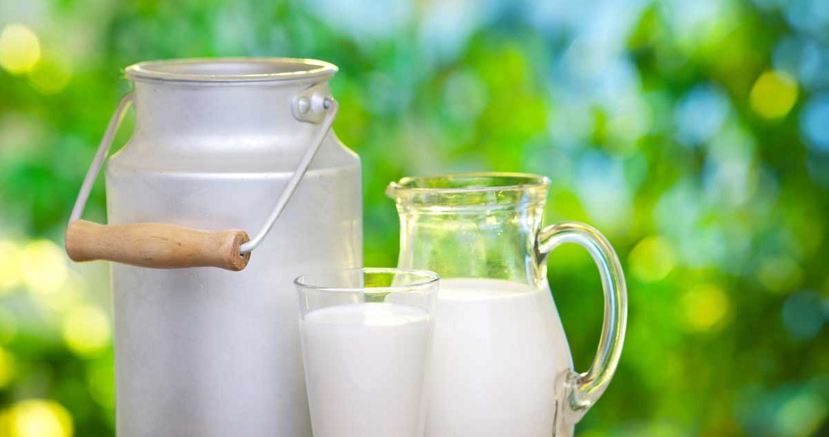 The milk conditioner will strengthen the yuka and stimulate it to grow