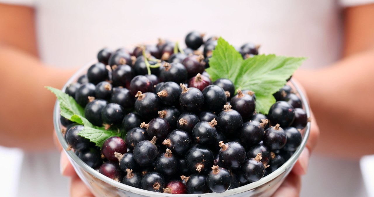 To collagen lemonade, it is worth adding blackcurrant juice