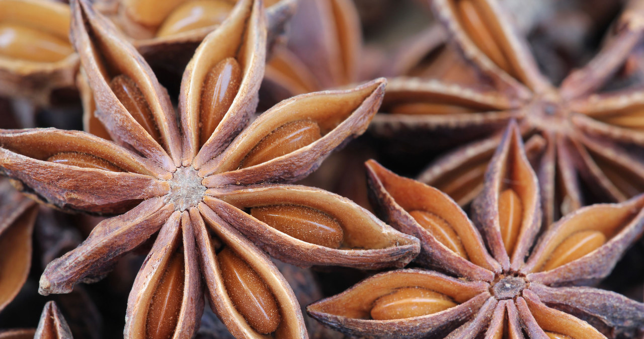 Anise is one of the herbs that has magical properties. /123RF/PICSEL