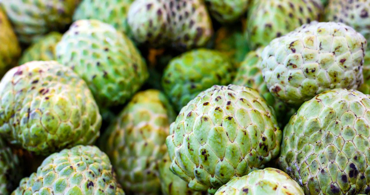 The Peruvian fruit is characterized by green skin, which often has protrusions resembling dragon scales. /123RF/PICSEL