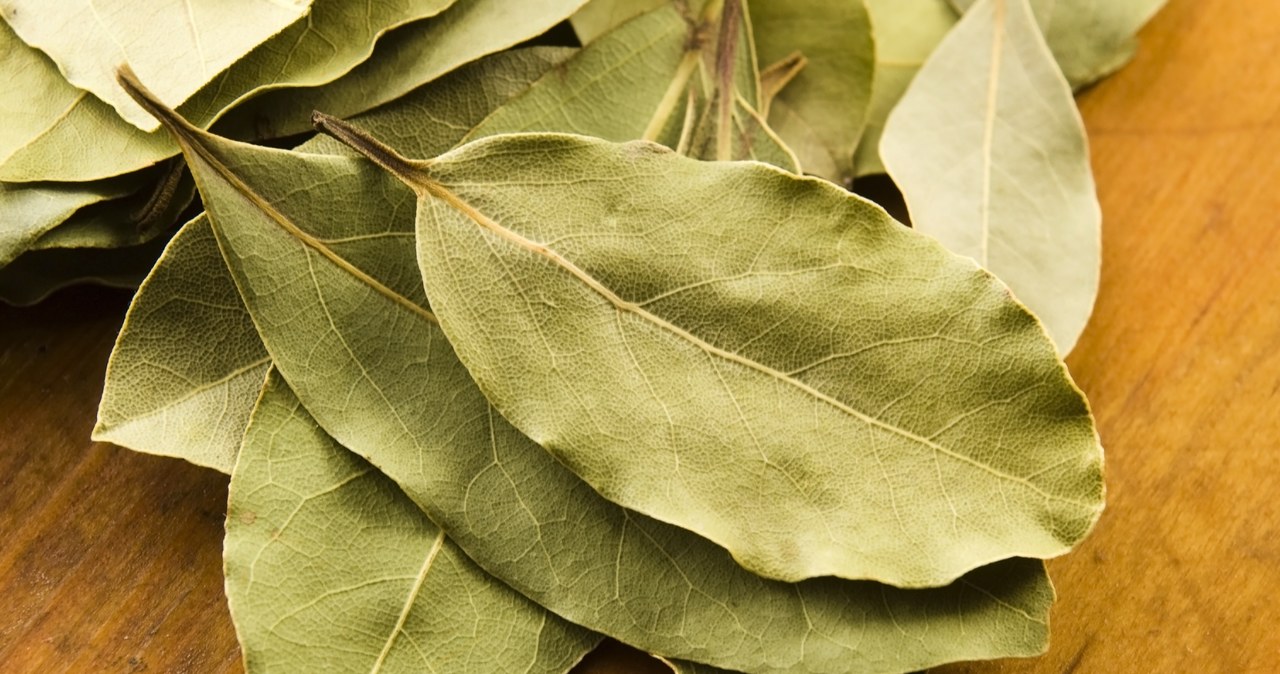 Few people know that bay leaves have magical powers.