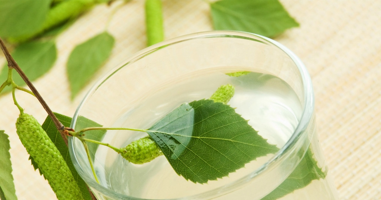 Birch water has antibacterial, antiviral, anti-inflammatory and antifungal properties. It is good for skin and hair. /123RF/PICSEL