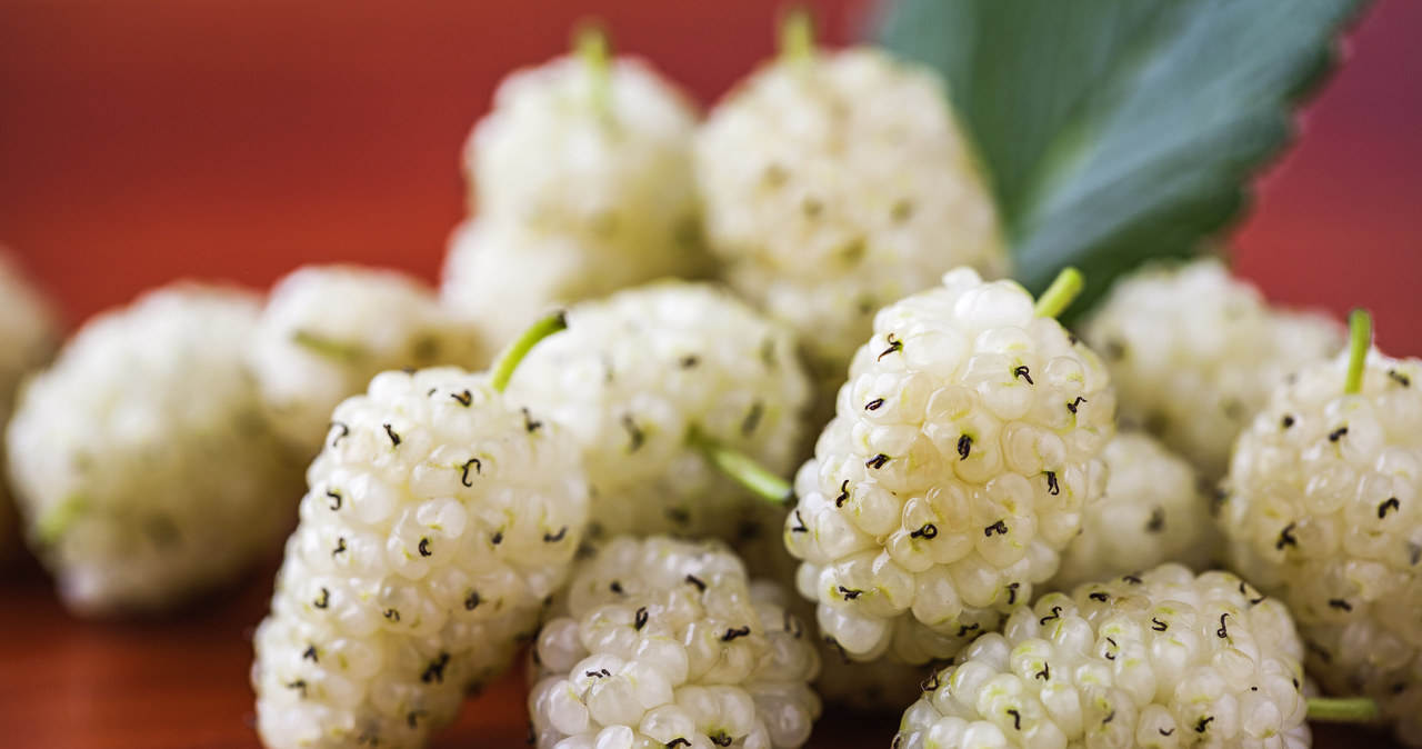 White mulberry improves heart function and lowers blood glucose levels. However, it has many more advantages. /123RF/PICSEL