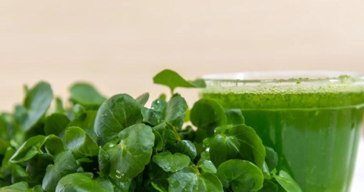 Watercress is a very healthy vegetable that can be used to make, among others: juice. /123RF/PICSEL