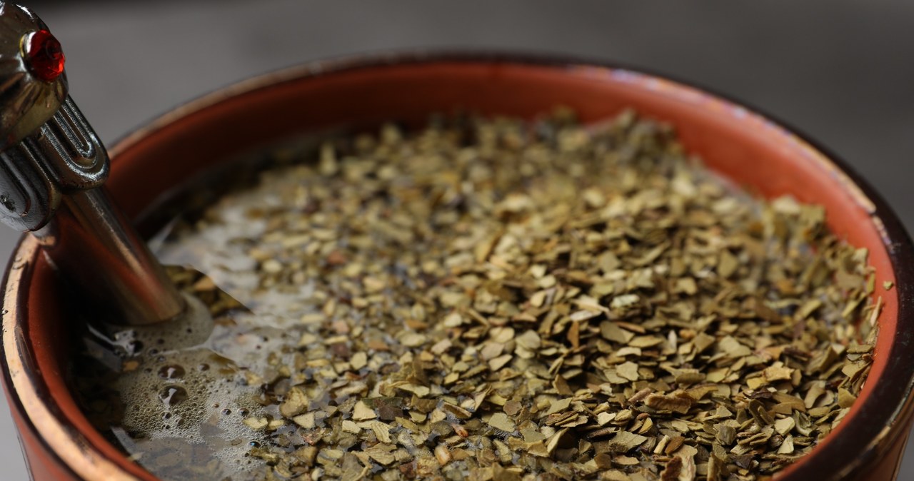 Yerba mate stimulates and helps with weight loss. It is worth reaching for it regularly. /123RF/PICSEL