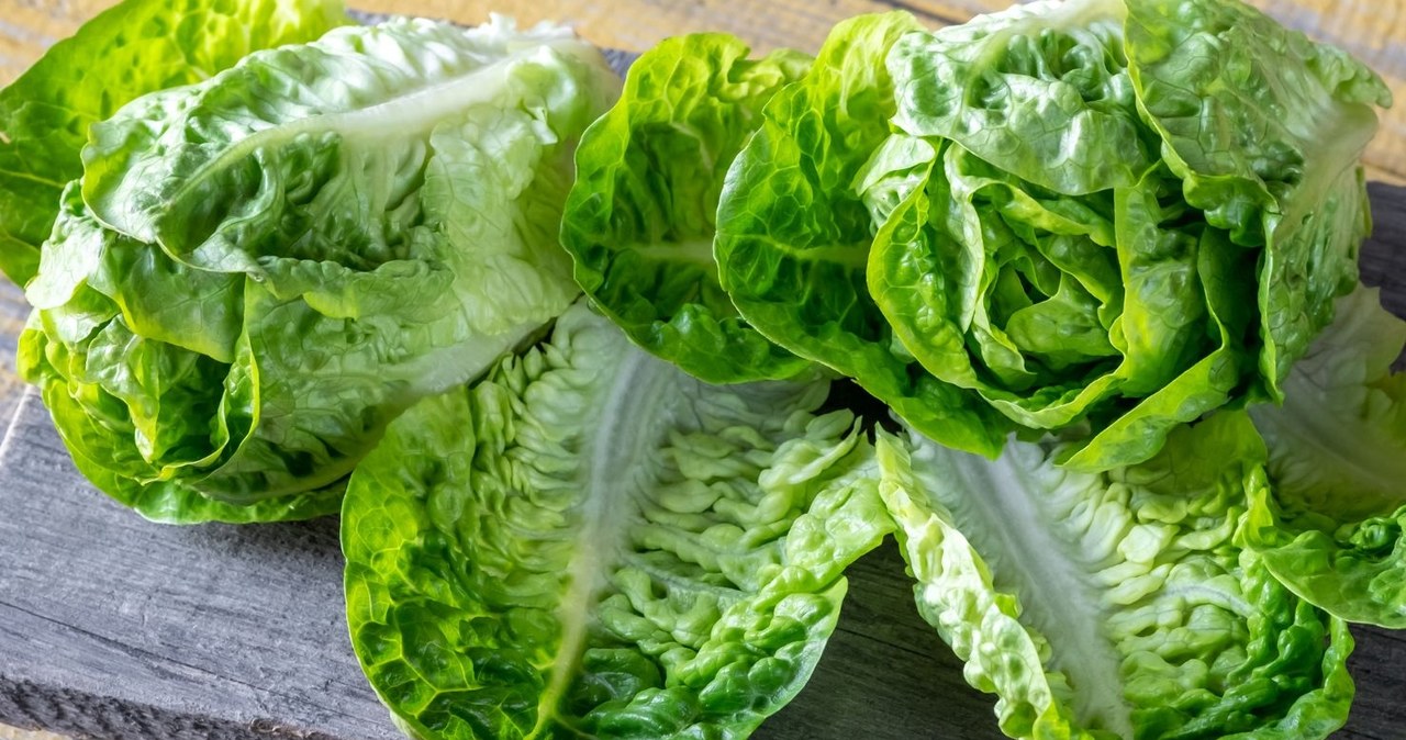 Romaine lettuce can even replace bread in a snack /Oleksandr Prokopenko /Canva Pro