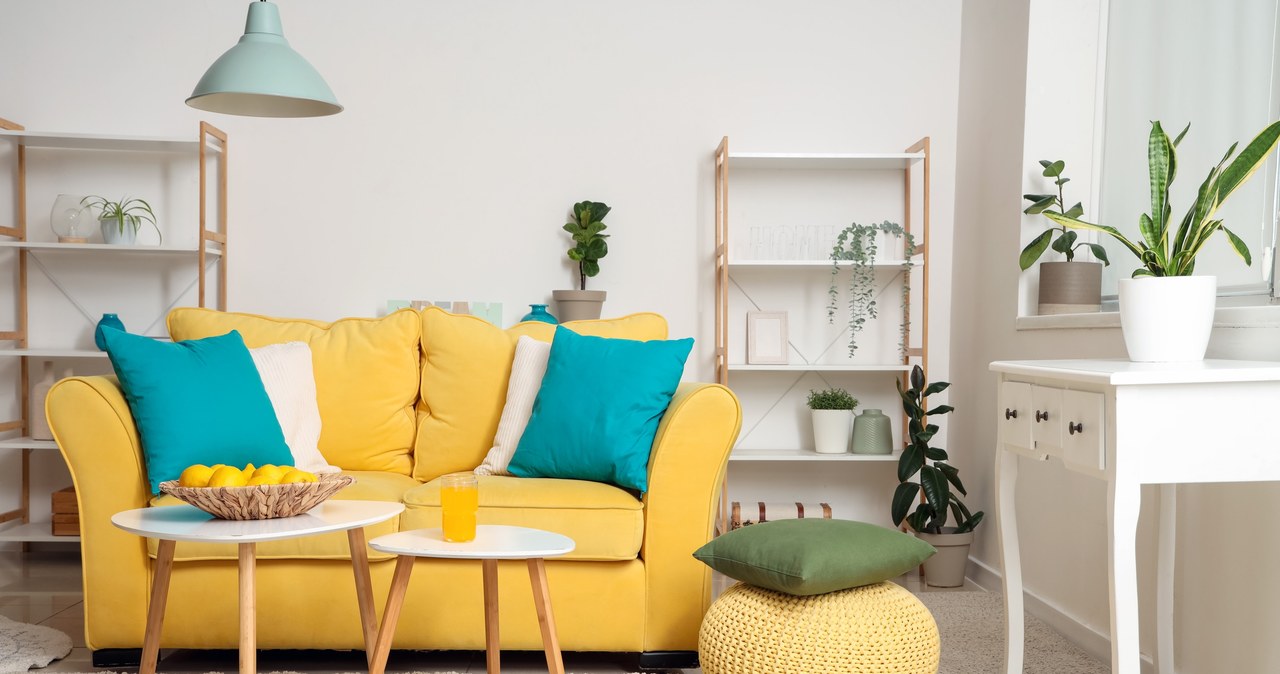 Gray sofas are becoming a thing of the past. Bold colors are coming in the living room /123RF/PICSEL /Pixel