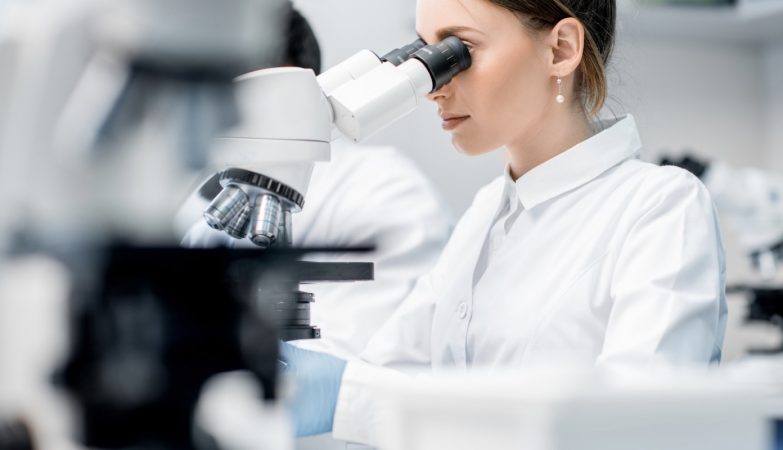 Evolution without sex: Mites survive for millions of years (and we already know how)