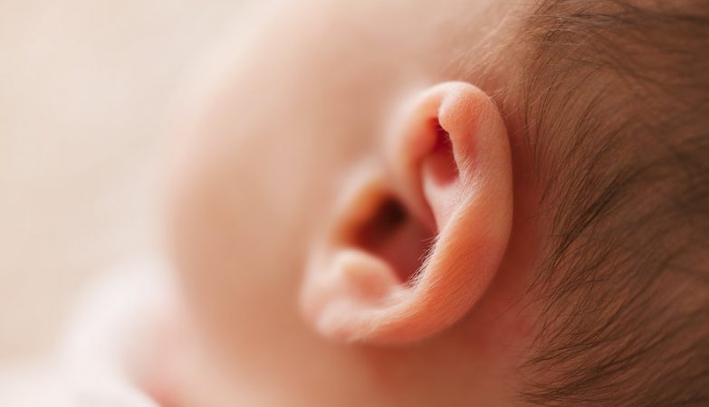 Human ears started out as gills