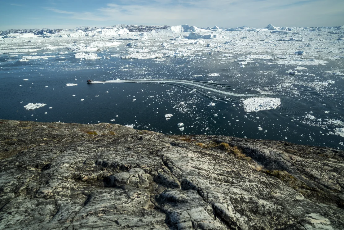 Trump wants to buy Greenland again. And that's why you're so interested in the biggest island in the world