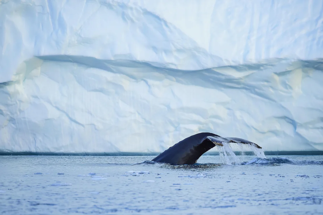 Everyone talks about Greenland. What is it like to visit the country?