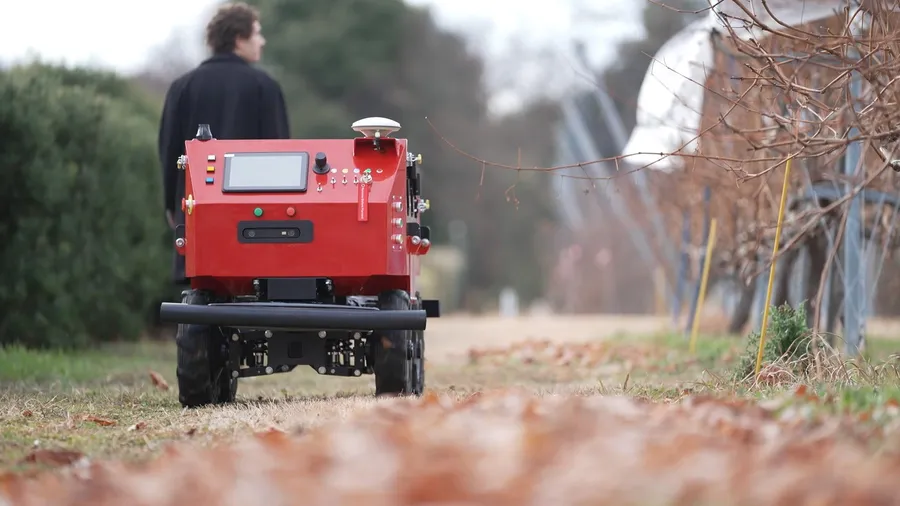 This cute robot with a little dog on top wants to help the country that has the oldest population in the world