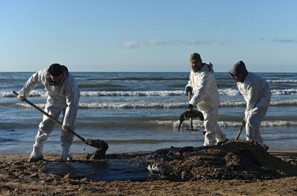 Russia: Over 30 minke whales found dead in Black Sea due to oil spill