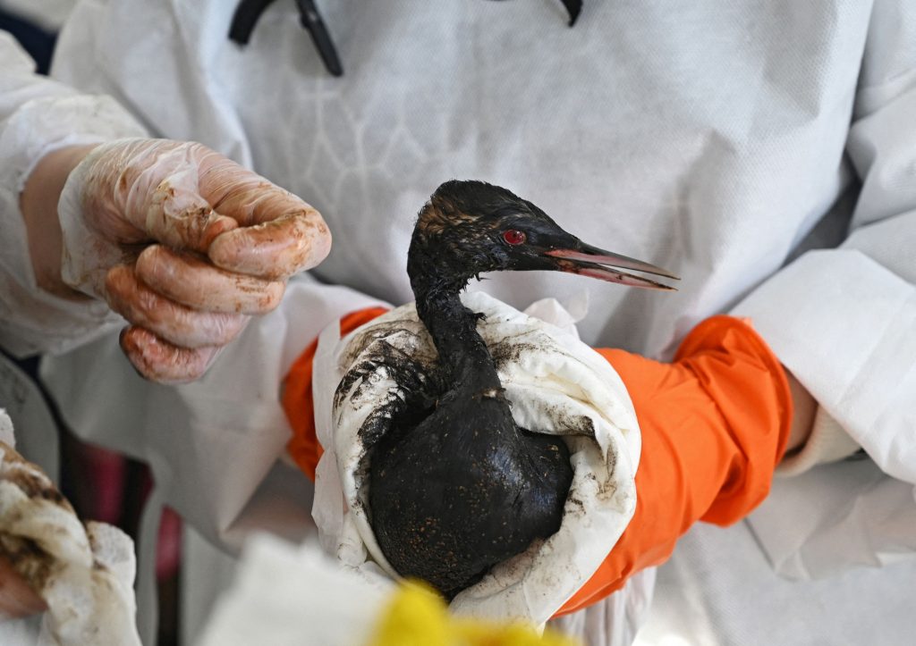 The oil spill continues to spread in Russia and Crimea