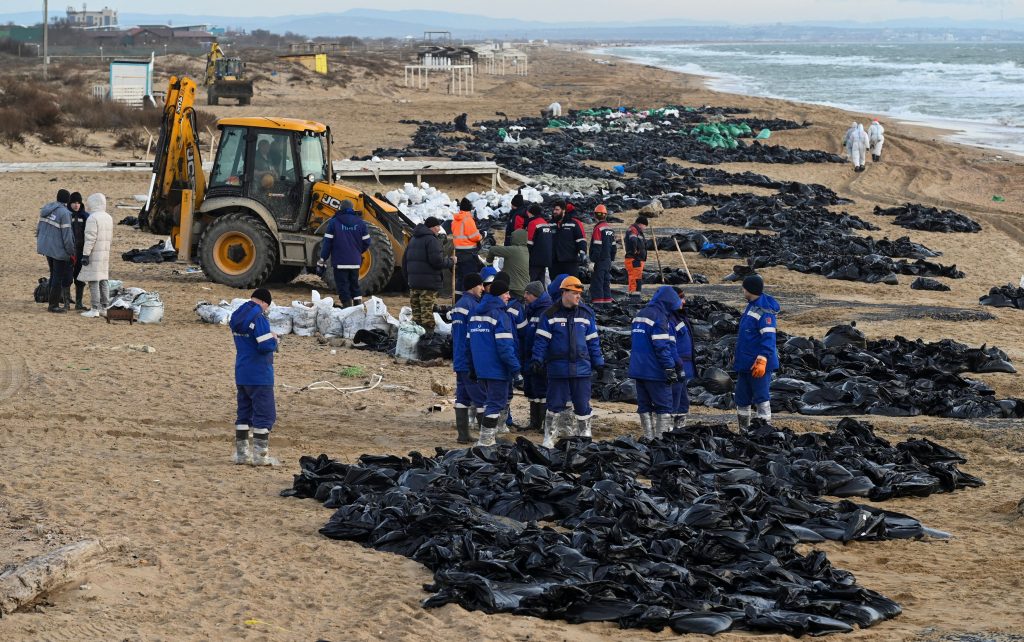 Russia: Over 30 minke whales found dead in Black Sea due to oil spill