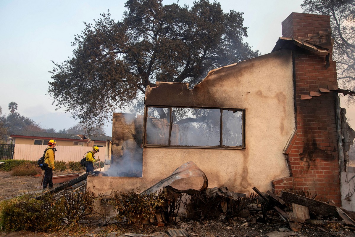 Fire in Los Angeles: Biblical disaster - Desperate residents, firefighters fight