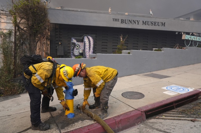 Firefighters at the Bunny Museum.