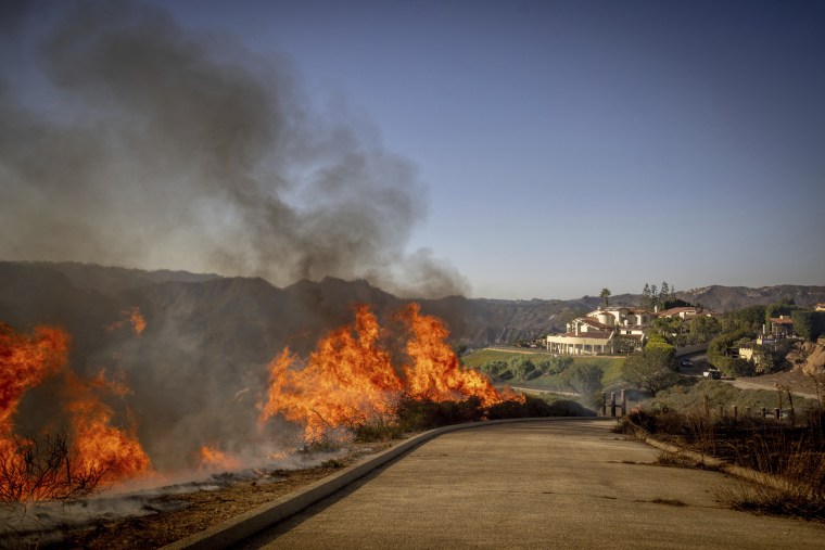 Palisades Fire 