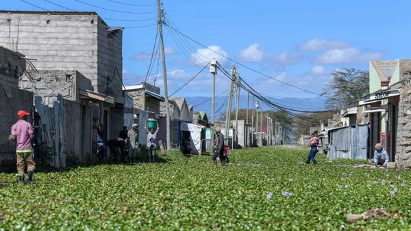 The alien invasion we should all worry about is lurking in every lake around the world