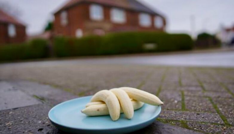 A mysterious dish with bananas is placed on the street once a month. Nobody knows why