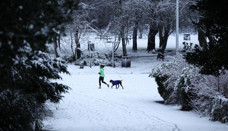 Snow affects flights in the UK, “extremely serious” situation in Germany, cold wave in the US