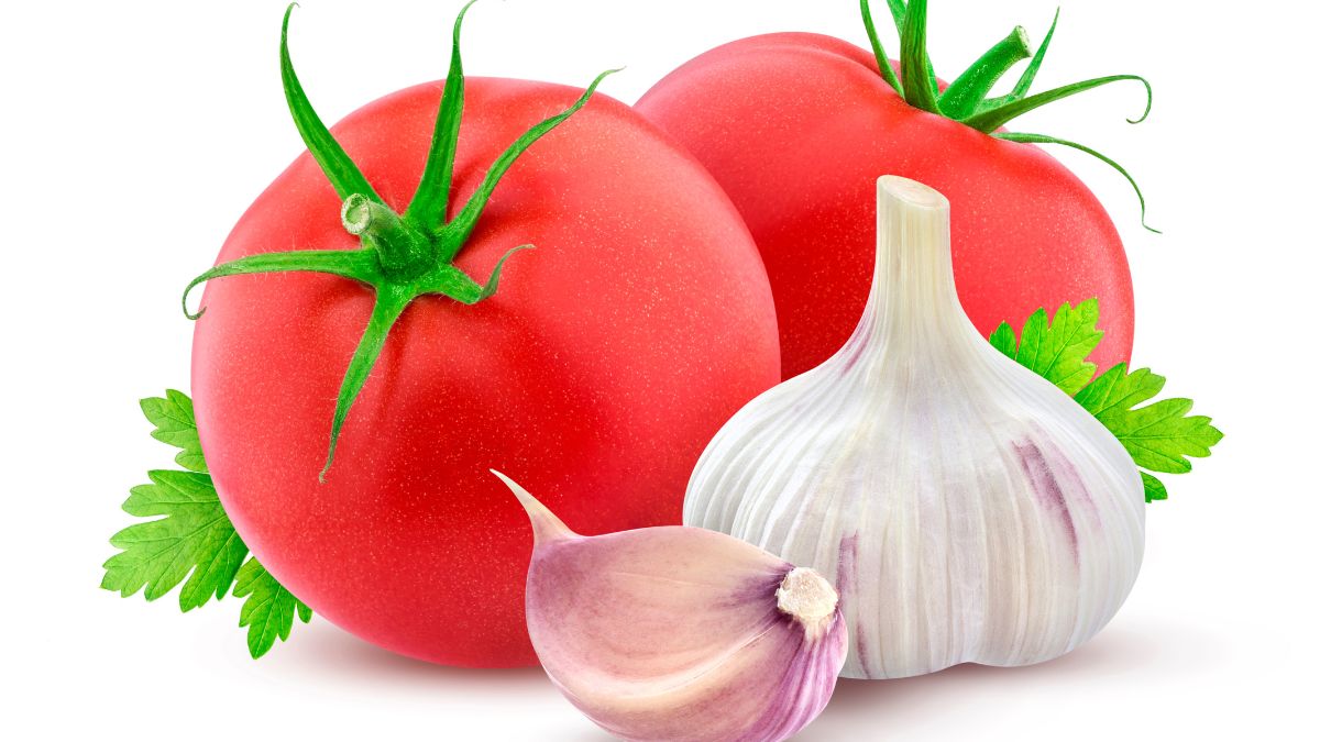 tomatoes and garlic how to grow them