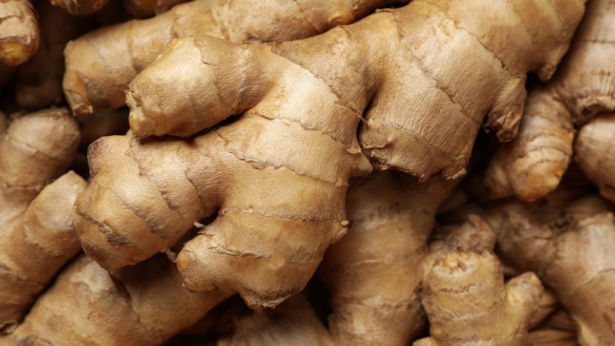 How to sprout and grow ginger