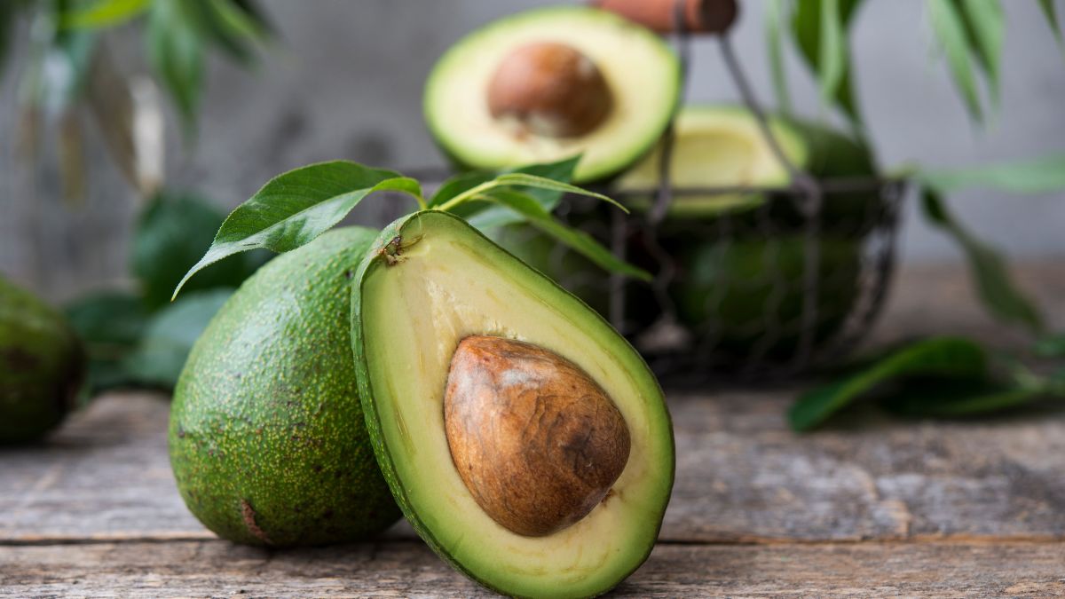 Growing avocado at home