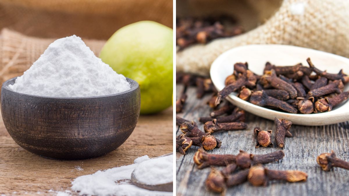 Natural products to perfume the bathroom