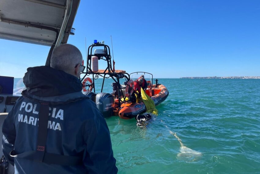 Four Arachedists rescued after falling in the sea in Portimão