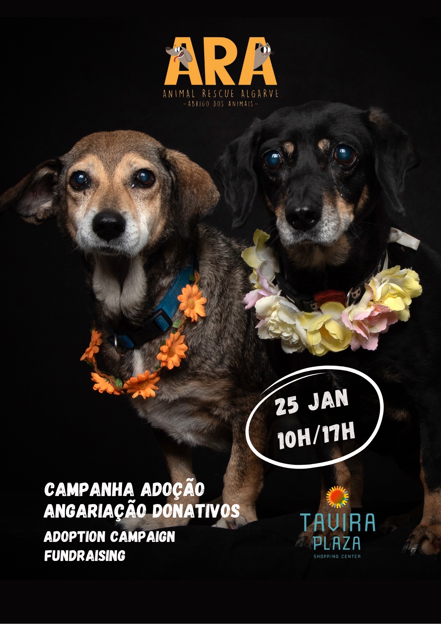 Tavira Plaza hosts solidarity event to promote animal adoption with ARA