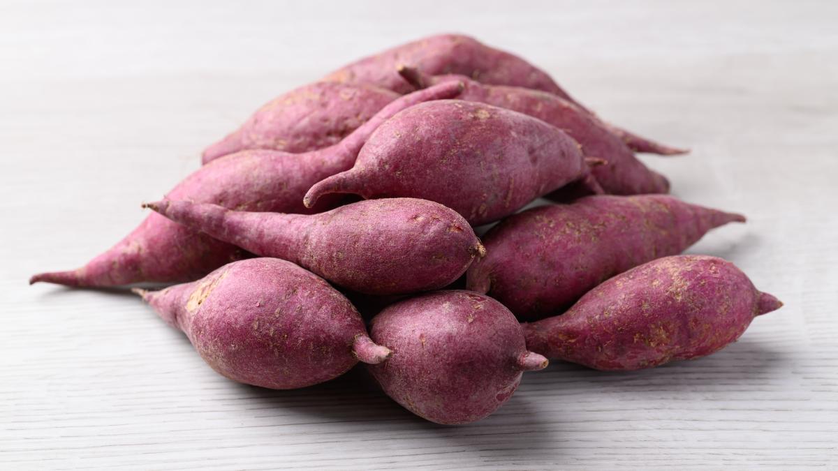 Hypomea potatoes, tropical plant