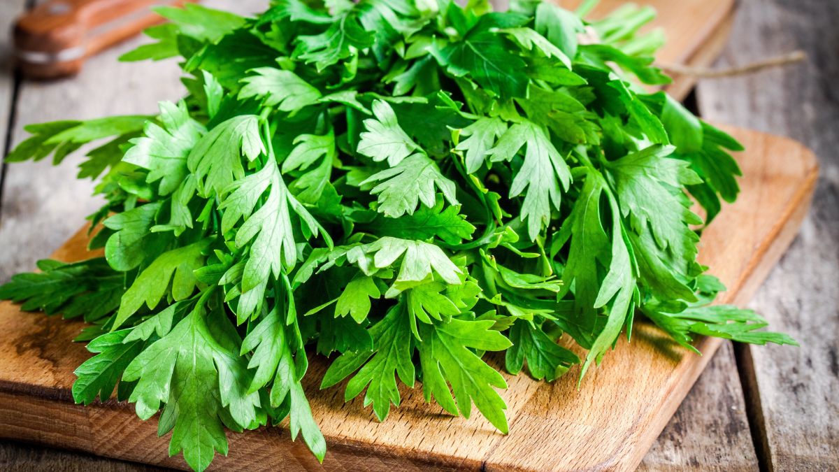 How to store fresh parsley in the fridge