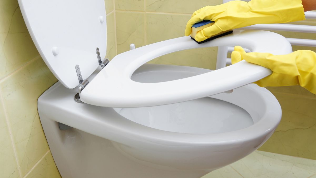 Disinfect and perfume the toilet with vinegar and lemon