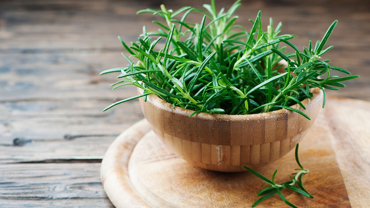 Why put rosemary on radiators