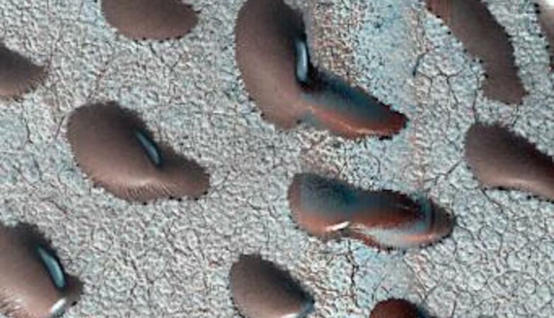 “Giant beans” caught on Mars are evidence of life on the Red Planet