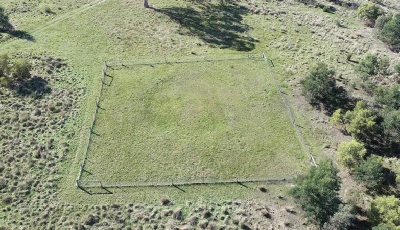 Origin of mysterious 1400-year-old “earth rings” discovered in Australia