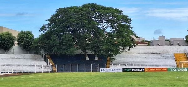 Tree at Santa Fe Stadium