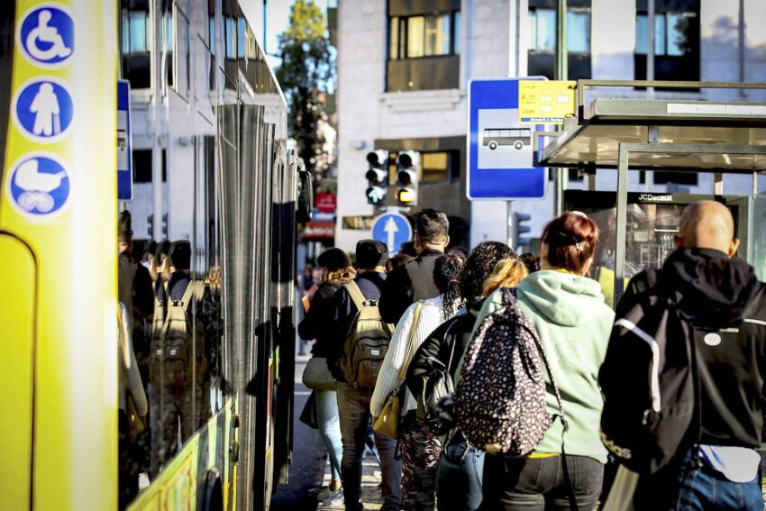 Free social passes for students and the elderly: how to join in your region in 2025