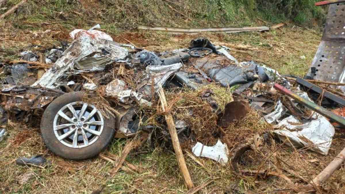 Car was left unrecognizable after being hit by a load of logs