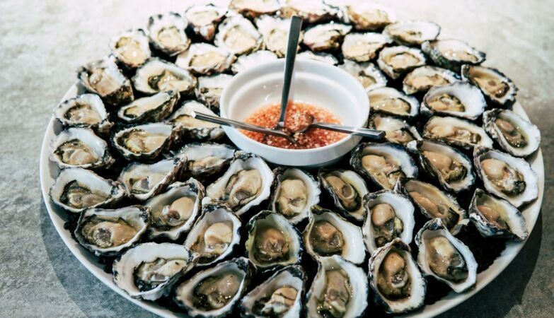 Oyster blood could be vital in the fight against superbugs