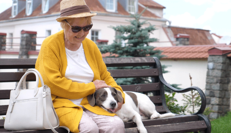 Fall and are less fear: walking dogs is good for the health of the elderly