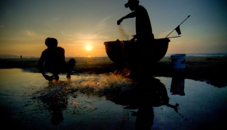 Those who disappeared in the Tagus were illegally collecting clams. Government was warned of dangers