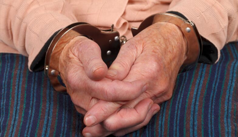 In Japan, there are elderly women exchanging homes for prisons: they commit crimes to not be alone