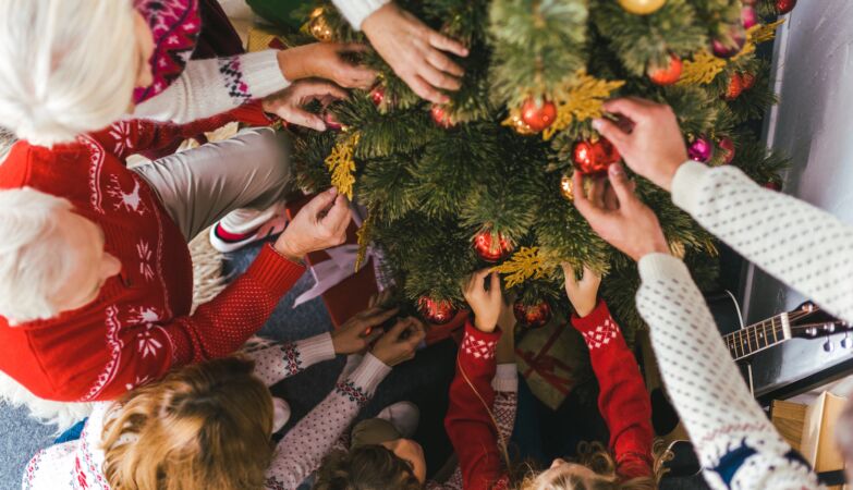 What are you going to do with your Christmas tree? In Norway, they eat them